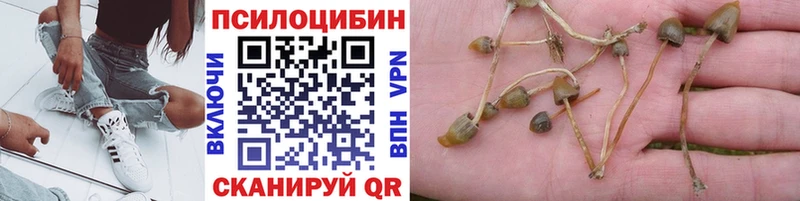 закладки  Усинск  Галлюциногенные грибы Psilocybe 